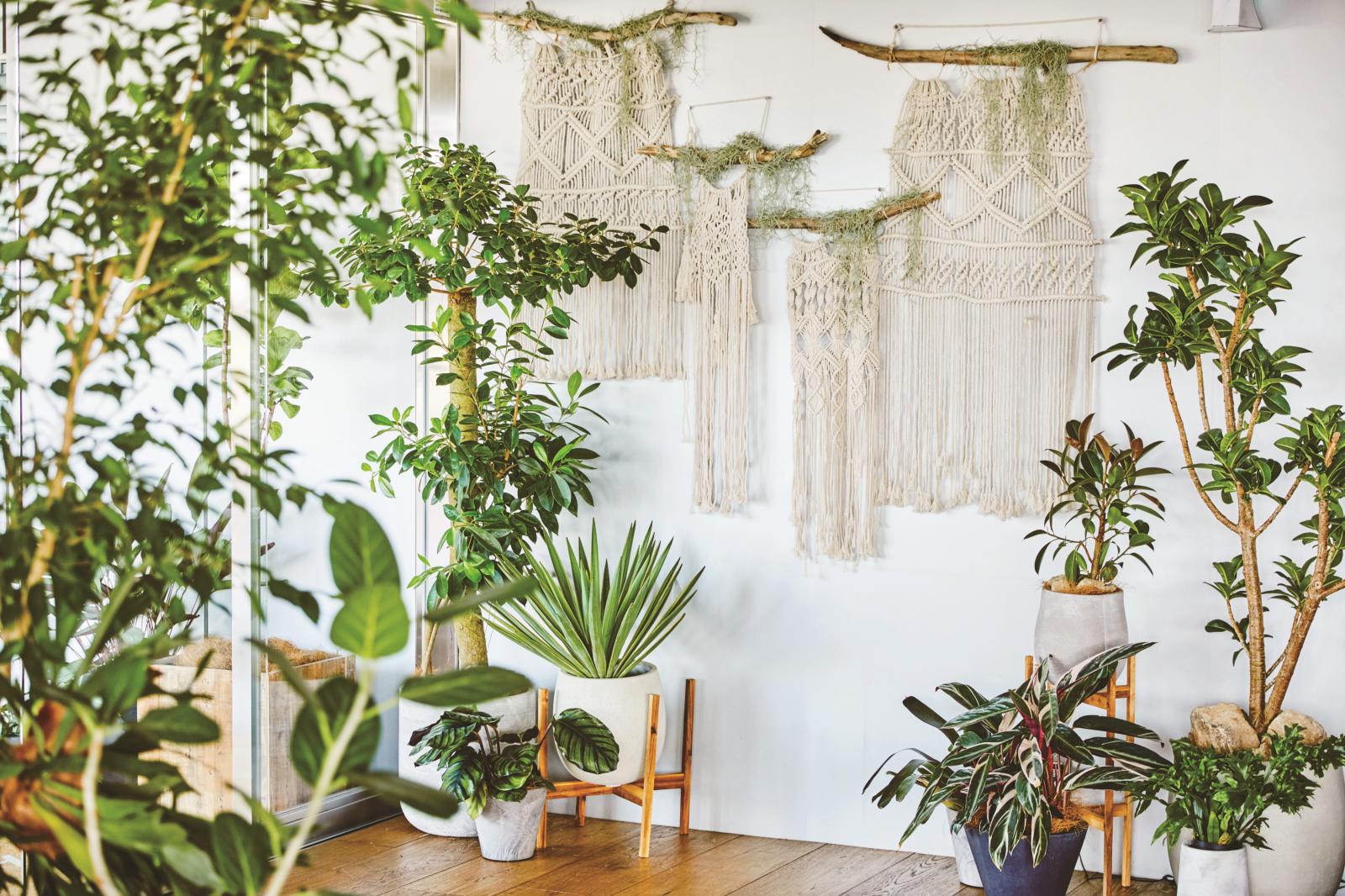 特別な日におふたりらしい装飾を