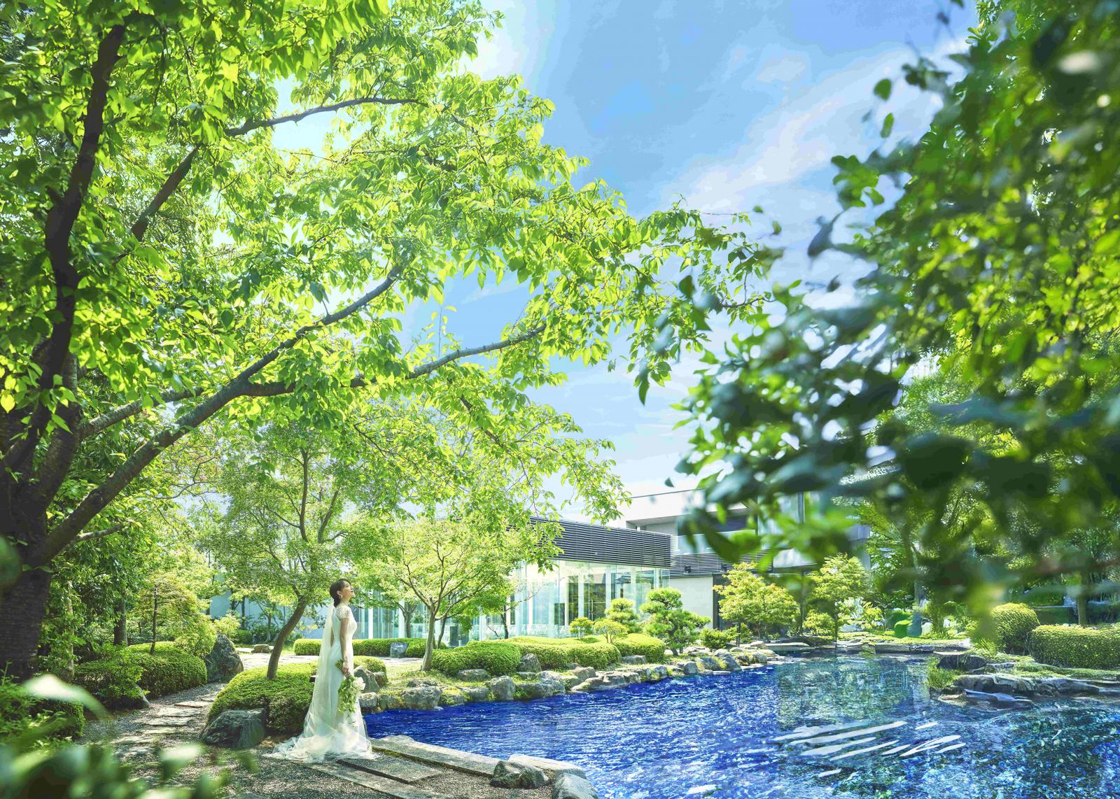 景色を堪能するプライベートパーティ