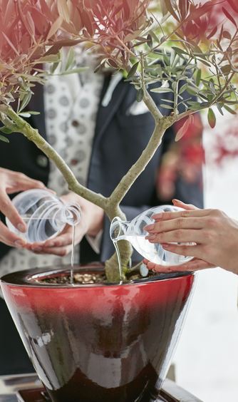 水合わせの儀に使う記念樹木の手配も可能