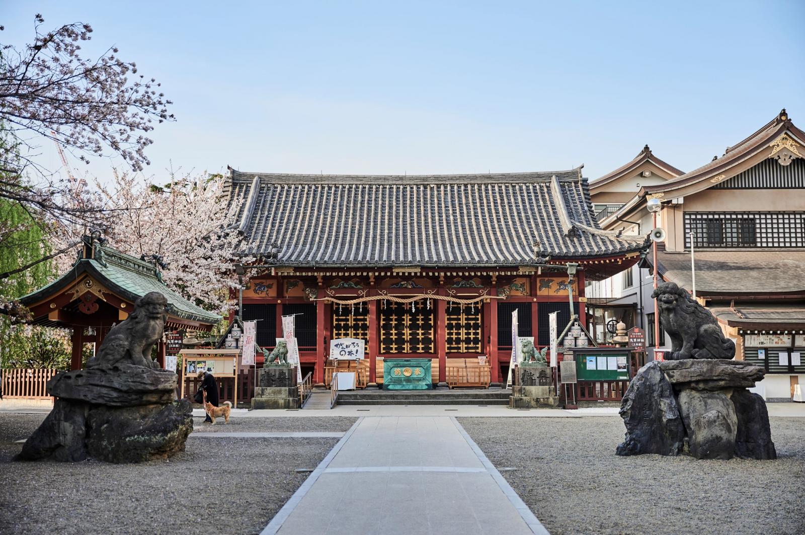 【浅草神社】重要文化財に指定されており、浅草を代表するシンボル的な神社