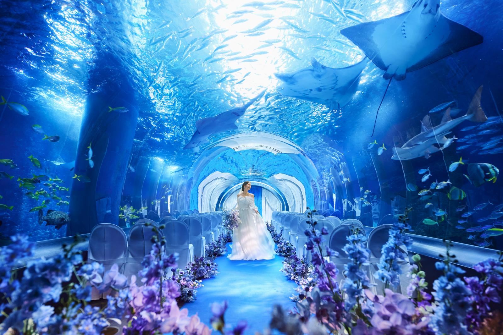 朝の水族館を貸し切り、海中トンネルの中での幻想的な水族館ウエディング