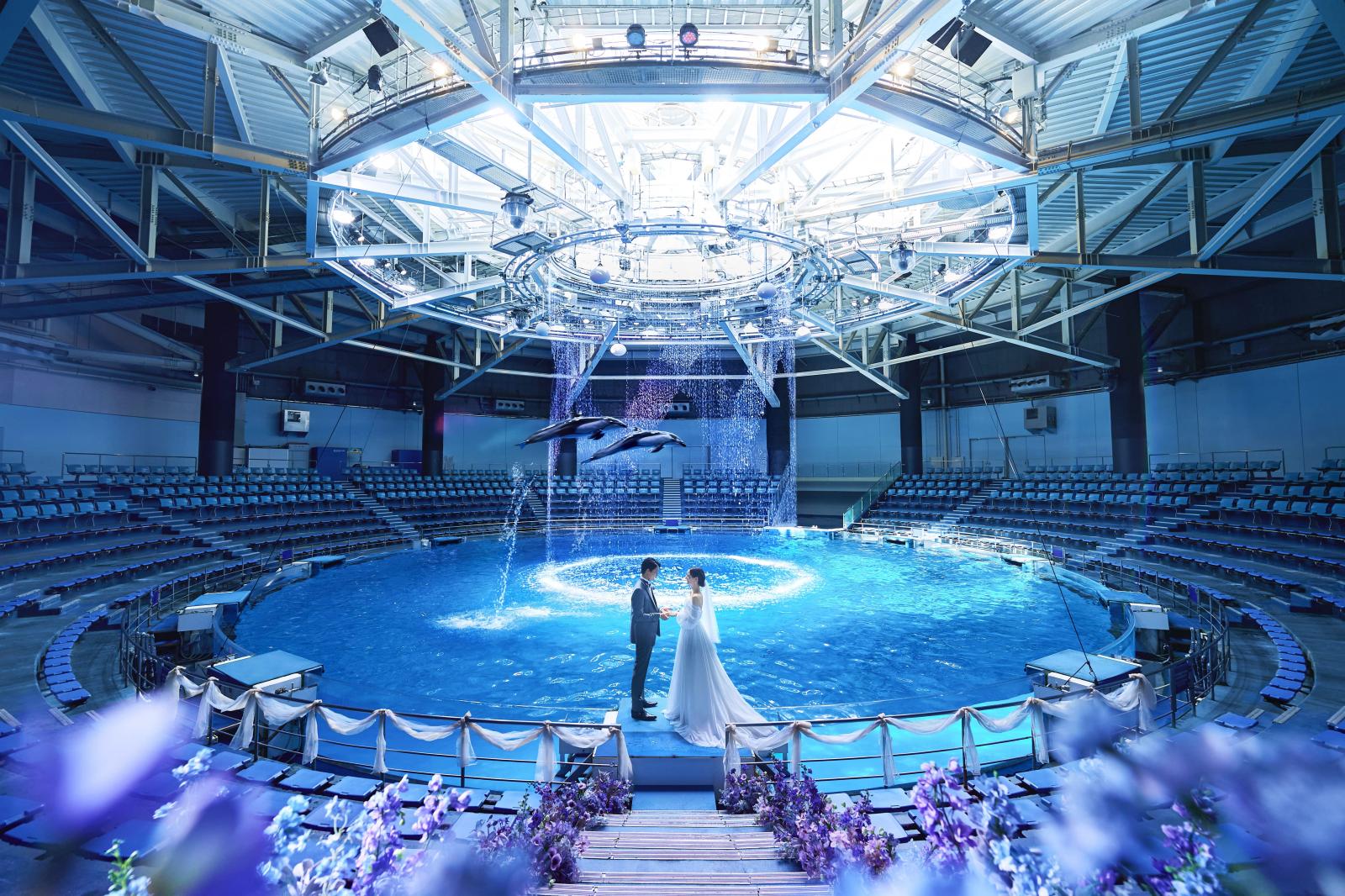 水族館でドルフィンパフォーマンスとともに行われるダイナミックなセレモニー