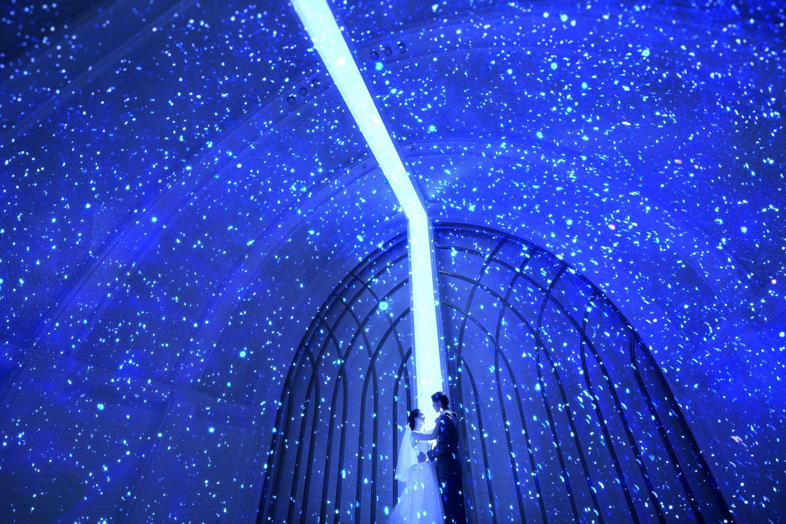 【アルマリアン】幻想的な星空を浮かべたセレモニー演出は一生の記憶に残る特別なシーンを演出してくれる
