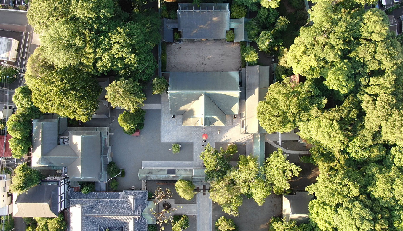 緑の杜の中で迎える、美しく厳かな挙式