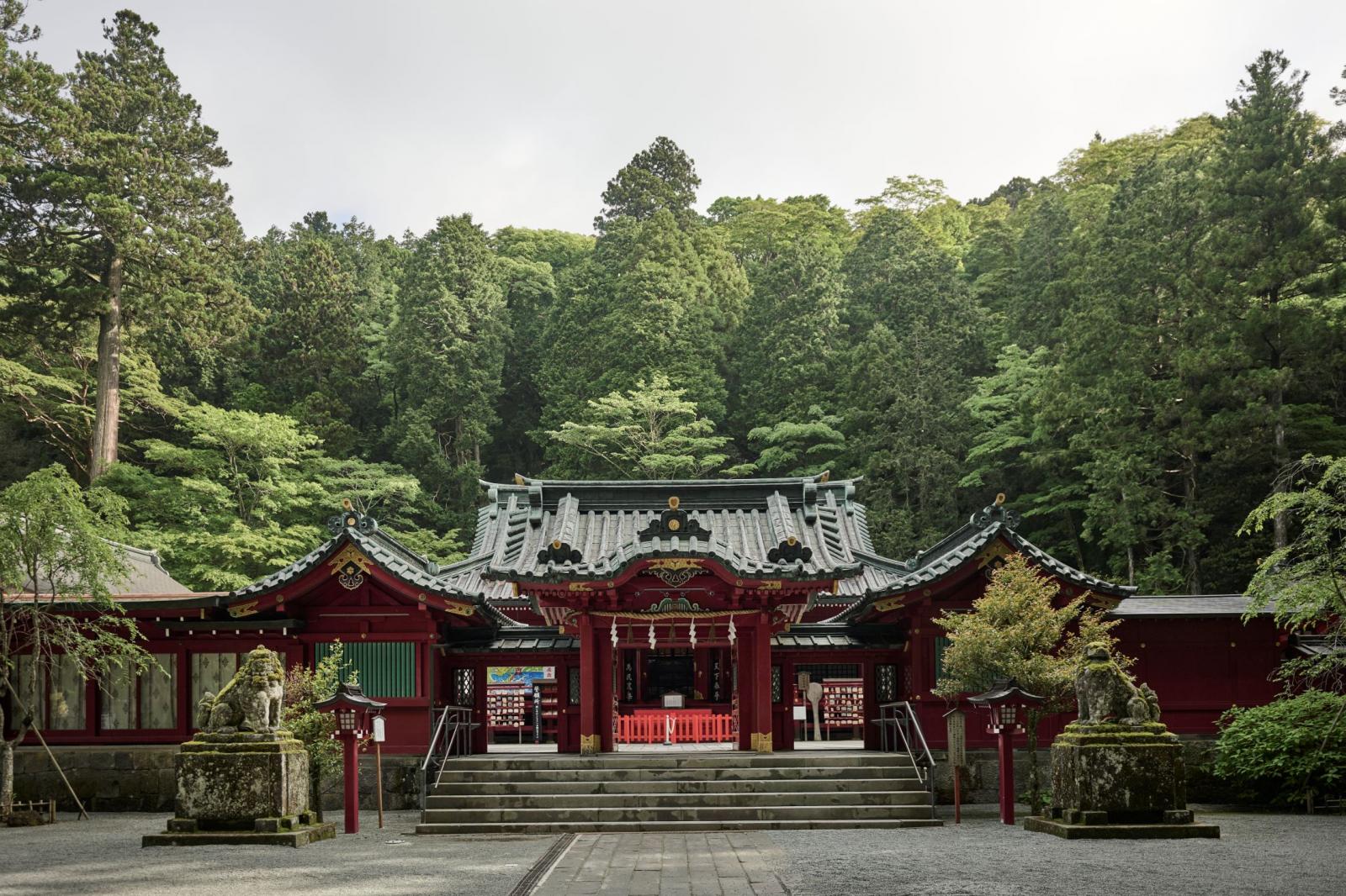 1200年以上の歴史を持つ<br />
箱根神社で行う 荘厳な空気に包まれた神前挙式。<br />
古から人々が祈りを捧げた場で、<br />
永遠に続くたしかな絆を結びます。