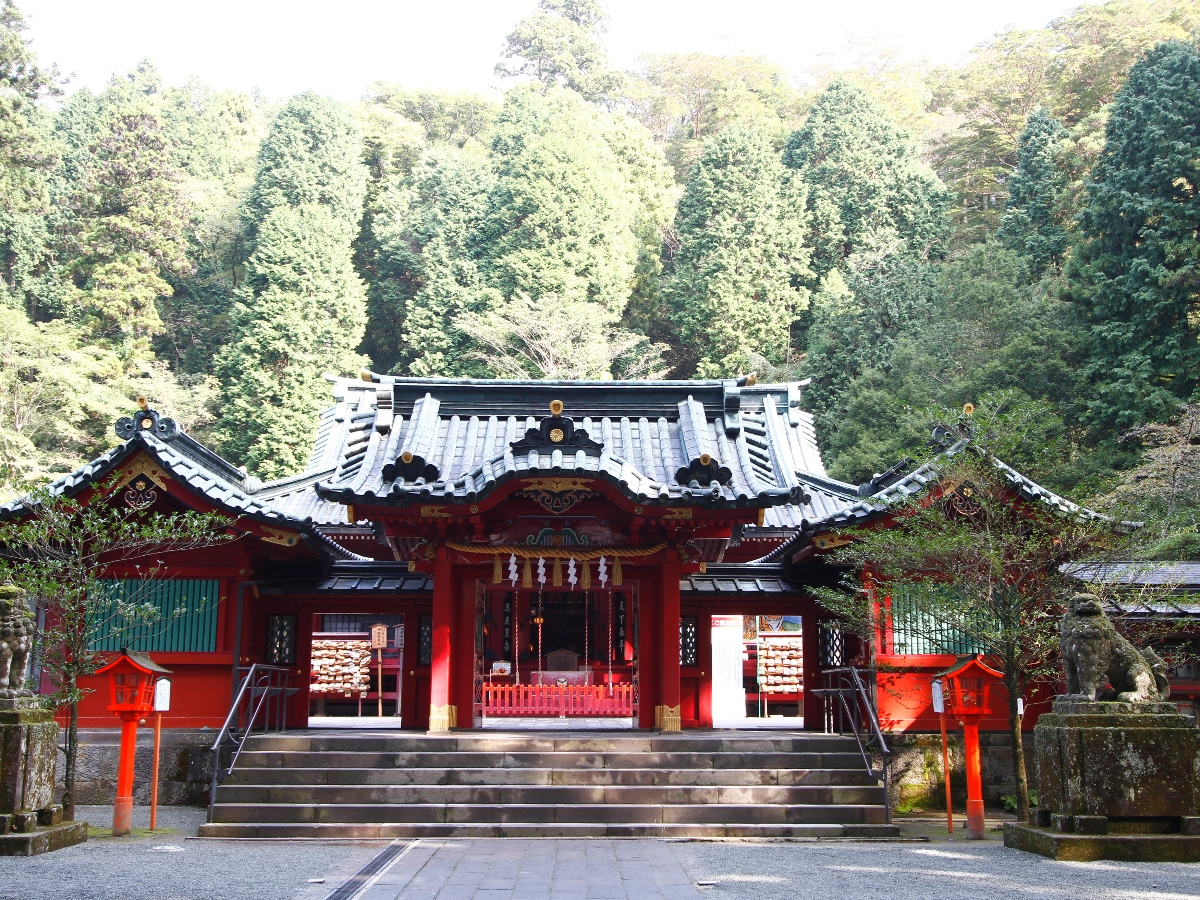 自然豊かで荘厳な雰囲気の御本殿