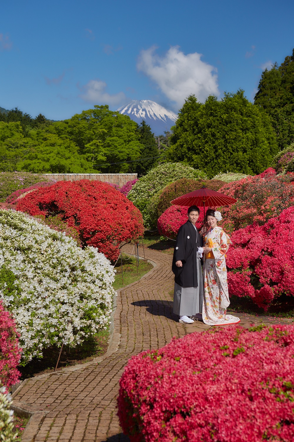 富士山と色鮮やかなツツジの中という最高のフォトスポット