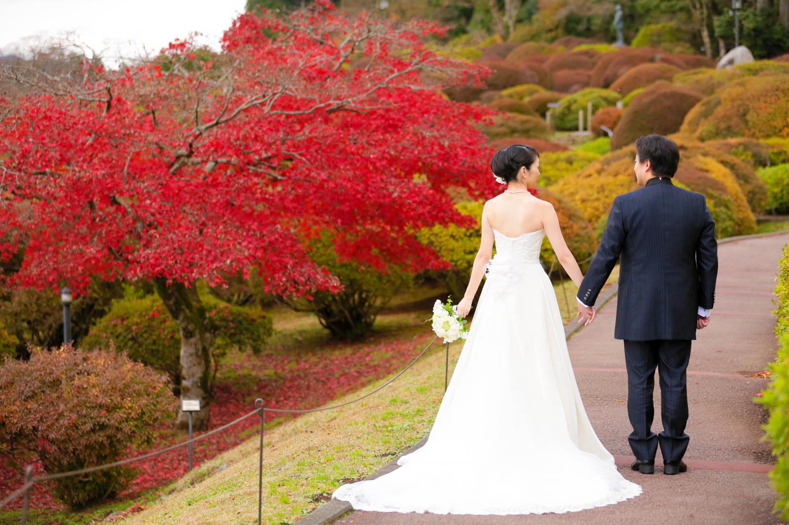 紅葉シーズン