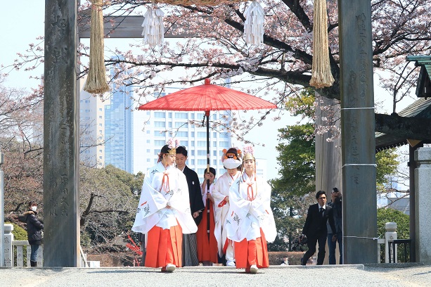 本殿挙式では、婚礼行列が境内を進みます。幸運に恵まれると、お二人の門出を祝うかのように港の汽笛が鳴り響くことがあります。汽笛が聞こえるお伊勢さまと呼ばれる由縁です。（雨天時・荒天時は行いません）