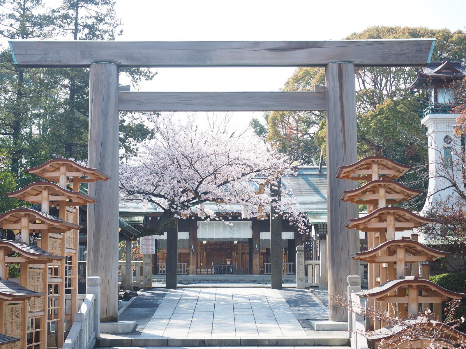 春には満開の桜が神域を彩ります。