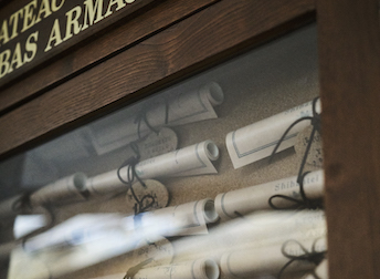 相模湾を一望できる最高のロケーション