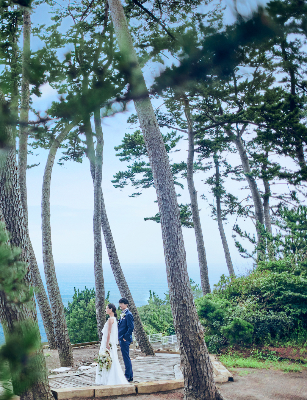 合間から差し込む海の青が心を和らげてくれる