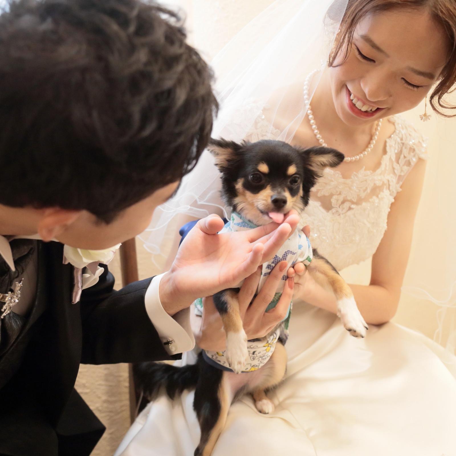 ご希望がございましたら、ご家族の一員の愛犬もご参加可能です。