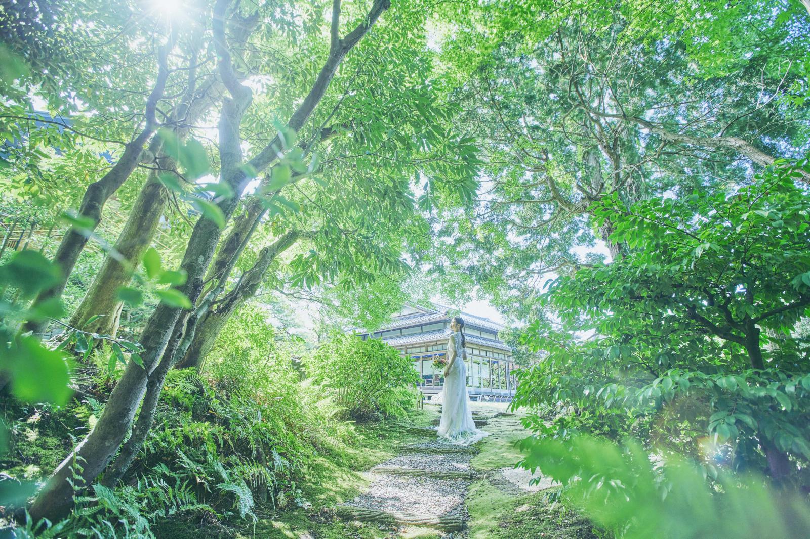 荘厳な木々に囲まれた辻家庭園ならではの結婚式を
