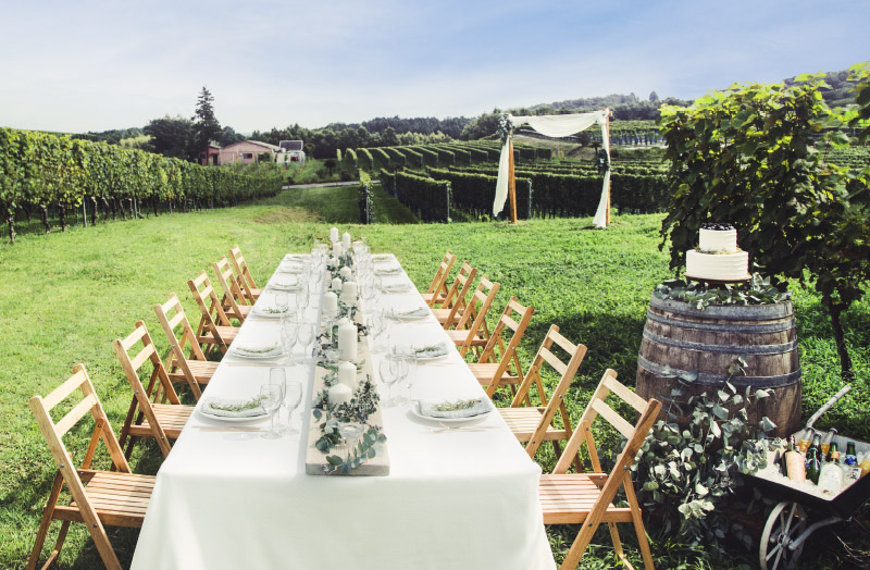 【ヴィンヤード】50名までのパーティーがぶどう園の中で叶います。海外に来たかのような非日常感を