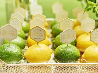 テーマに合わせたカラーコーディネートも