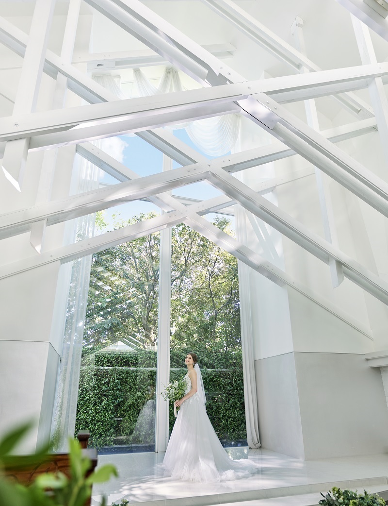 天井が高く自然光が燦々と差し込む