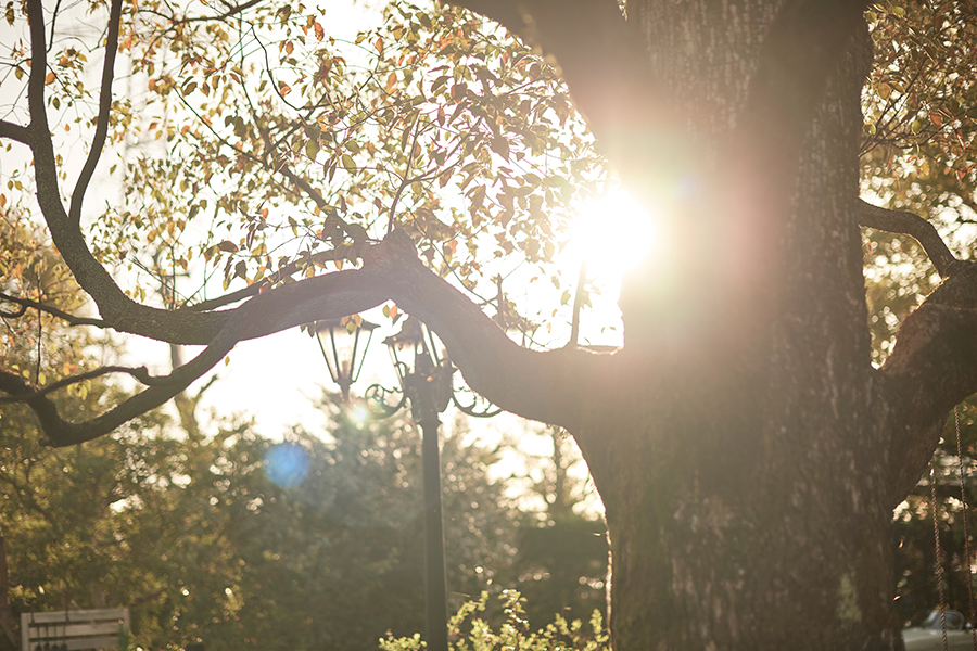 広がる自然と綺麗な空の下で最高のひとときを