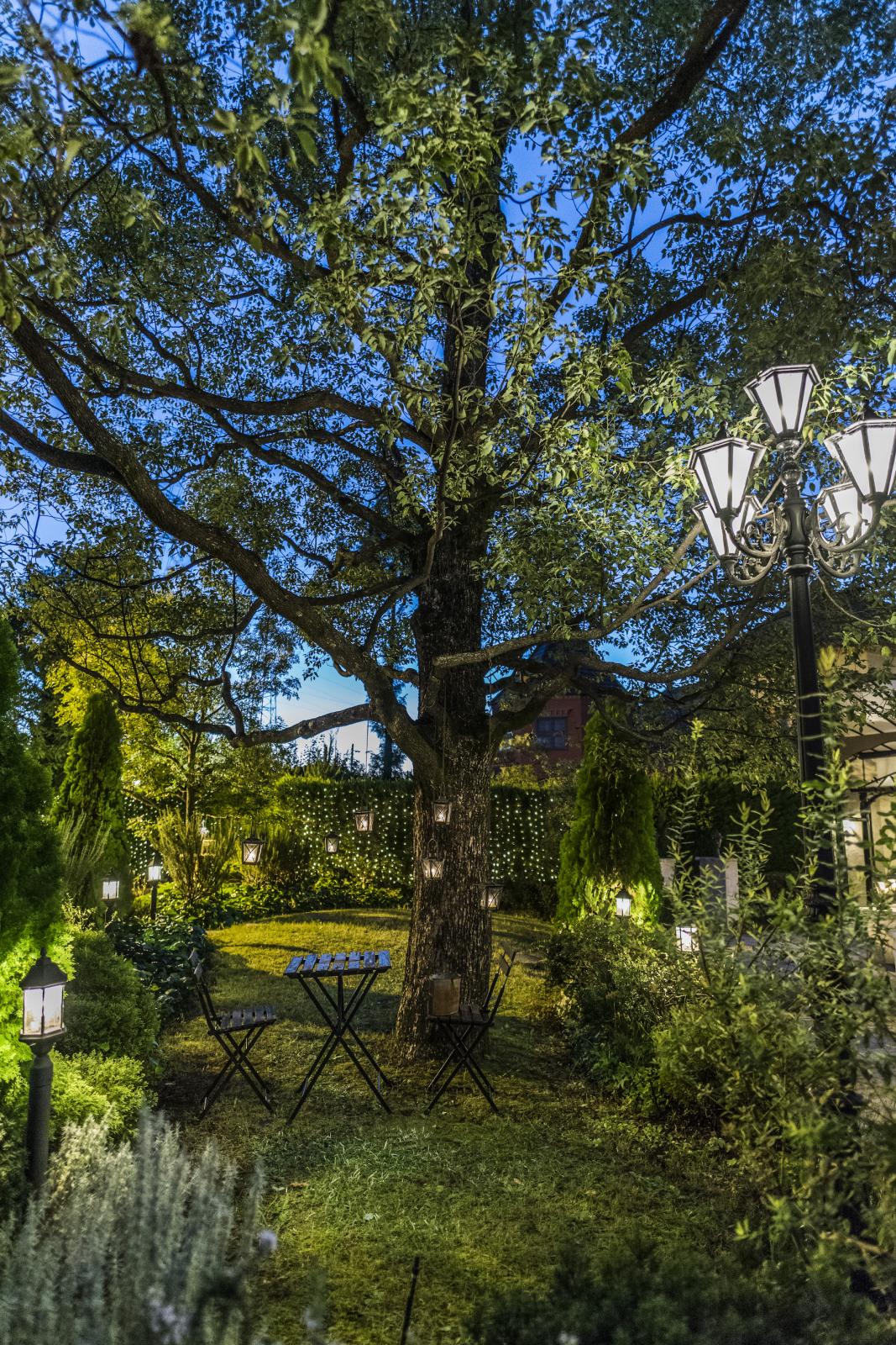 いつもとは少し違う時間を過ごしてみては