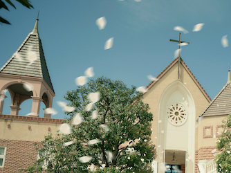 緑豊かな2000坪の貸切邸宅。南仏プロヴァンスをモチーフにした穏やかで楽しい結婚式