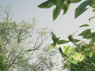幾度でも訪れたくなるロケーションが魅力
