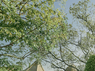 四季ごとに美しい表情を見せる庭、テラコッタの屋根の建物、クラシカルな風城の邸宅など外国を旅する気分に