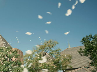 チャペルから続く大階段やガーデンで、アフターセレモニーを楽しんで