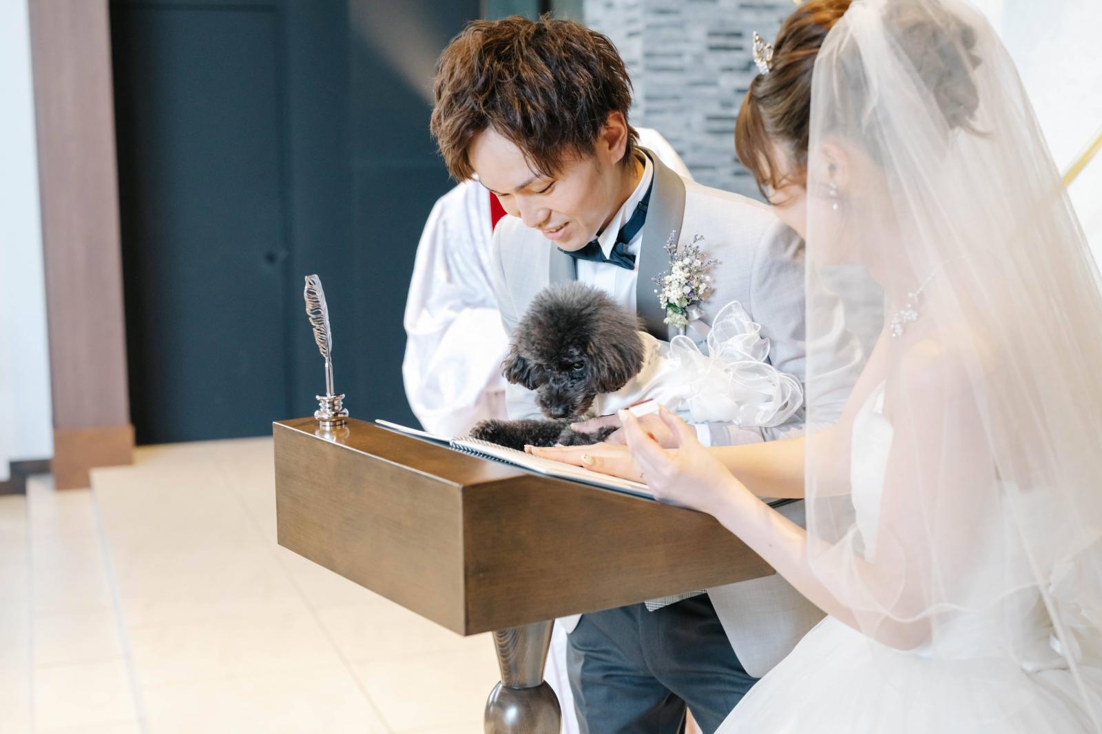 ワンちゃんと一緒のペットWEDDING！<br />
当日だけでなく打ち合わせもご一緒に♪