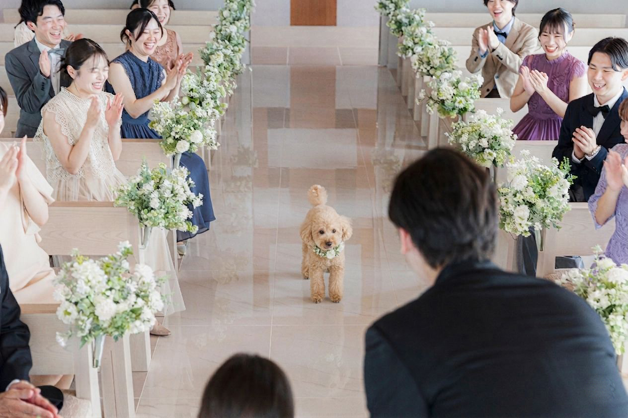 ペット参加の結婚式をご希望の方にもおすすめ！