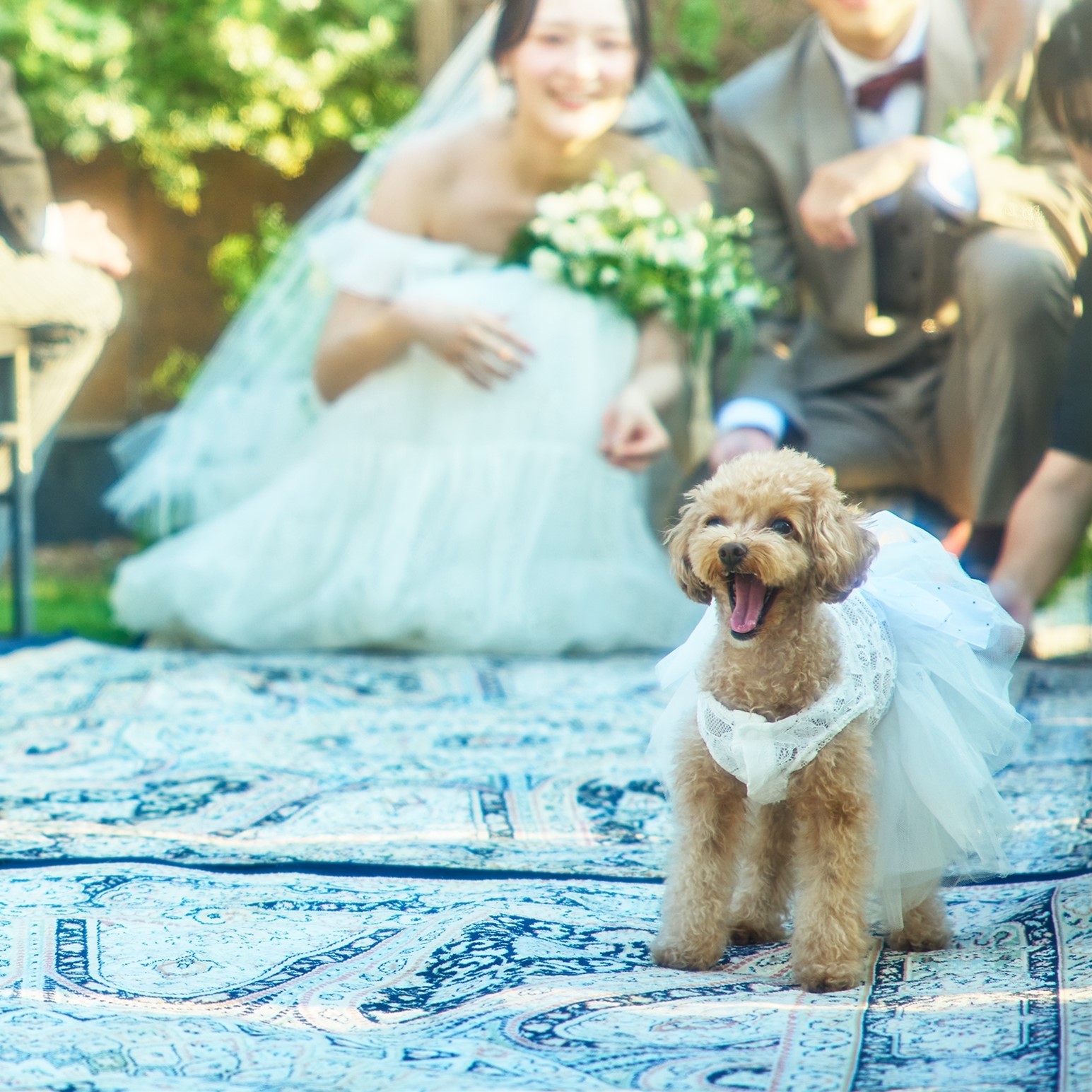 ワンちゃんと一緒に過ごせる貸切空間で、思い出に残る結婚式を叶えて。