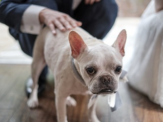 1組貸切で結婚式を行うので《ペットの参加》もOK！愛犬、愛猫、愛鳥など