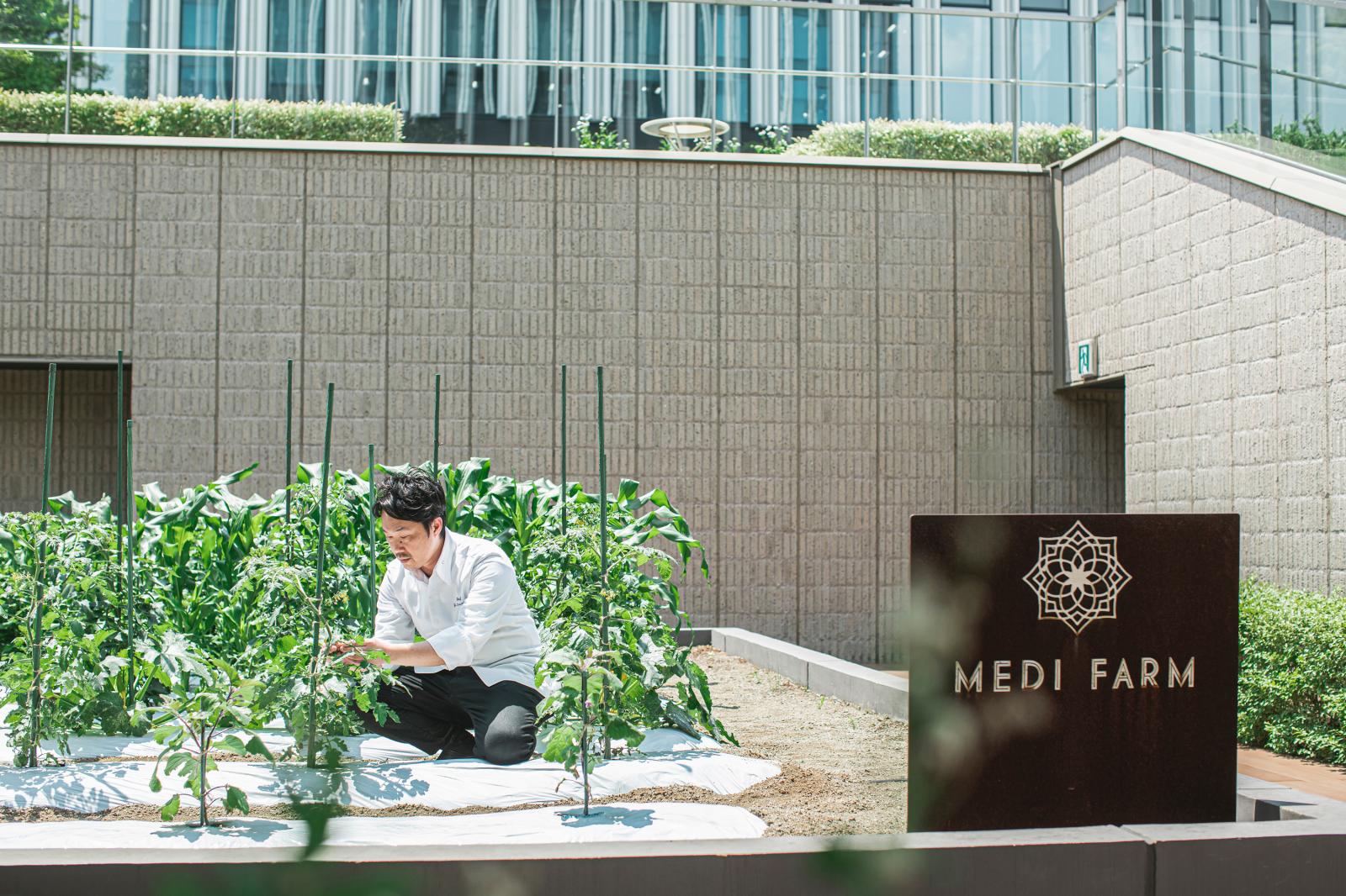 シェフ自らが栽培・収穫をする新鮮野菜が彩る料理は、ゲストや新郎新婦様にも好評。