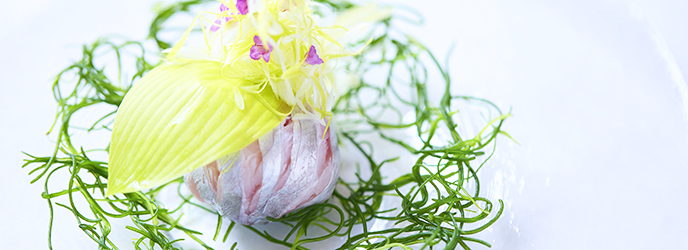 その時期いちばんの美味しさが詰まった一皿に　美味しいと感動を詰め込んで