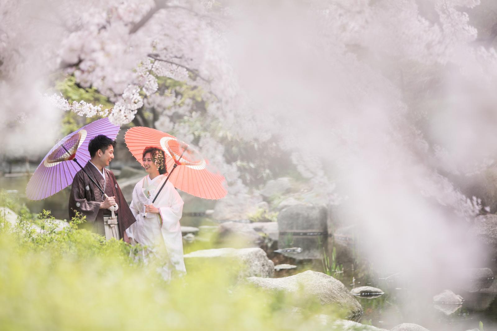 毎年ふたりで訪れた『 大阪城公園のお花見 』今日は満開の桜と大阪城を背景に、想い出の場所でロケーション撮影。<br />
たくさんの祝福の言葉を受けながら忘れられない想い出がまたひとつ刻まれる。