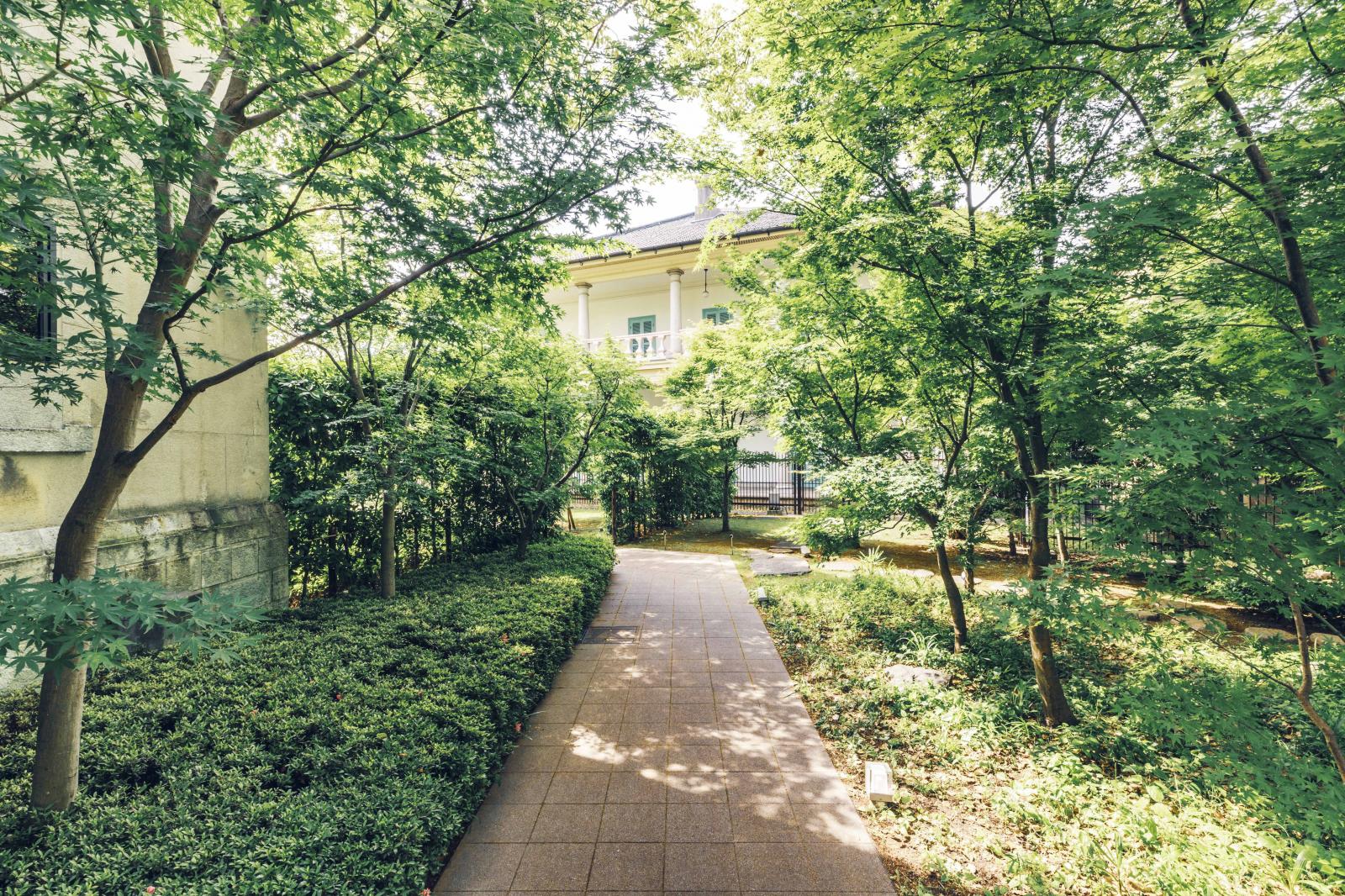 桜並木を抜けて辿り着く都心の深緑