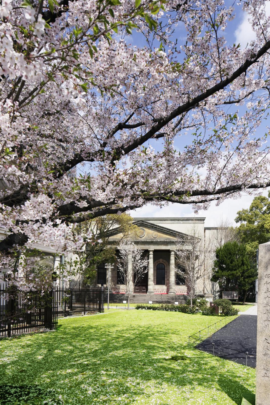 桜など四季の移ろいも感じることのできる美空間