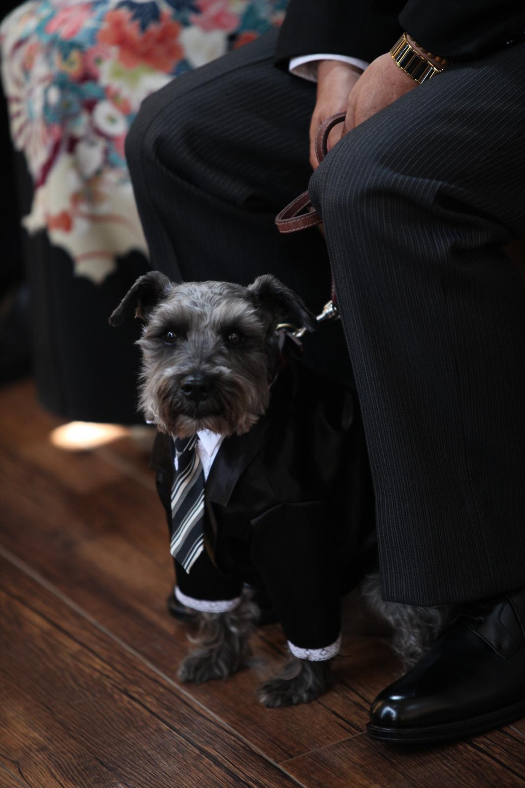 思い出に残る記念の写真を残そう