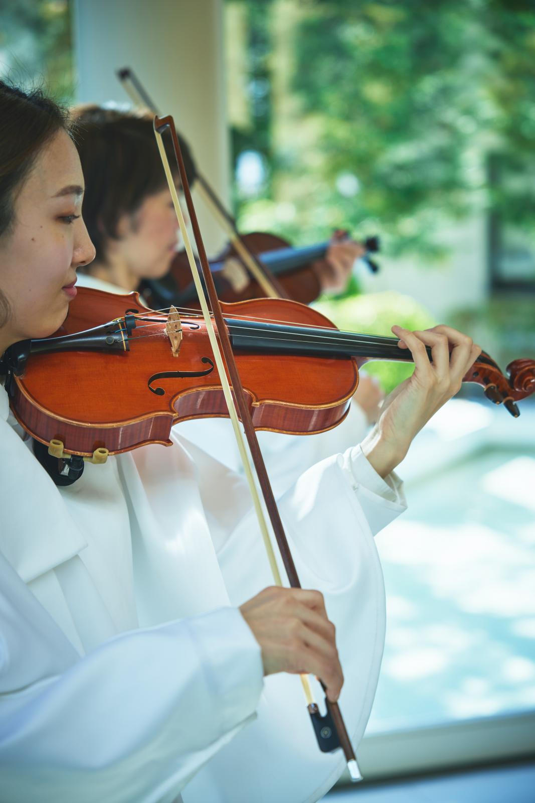 生演奏でより幻想的で心に残る瞬間に