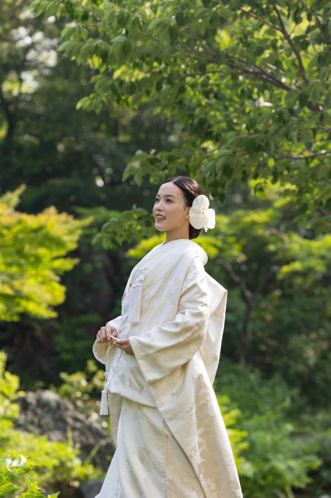 日本の伝統美を