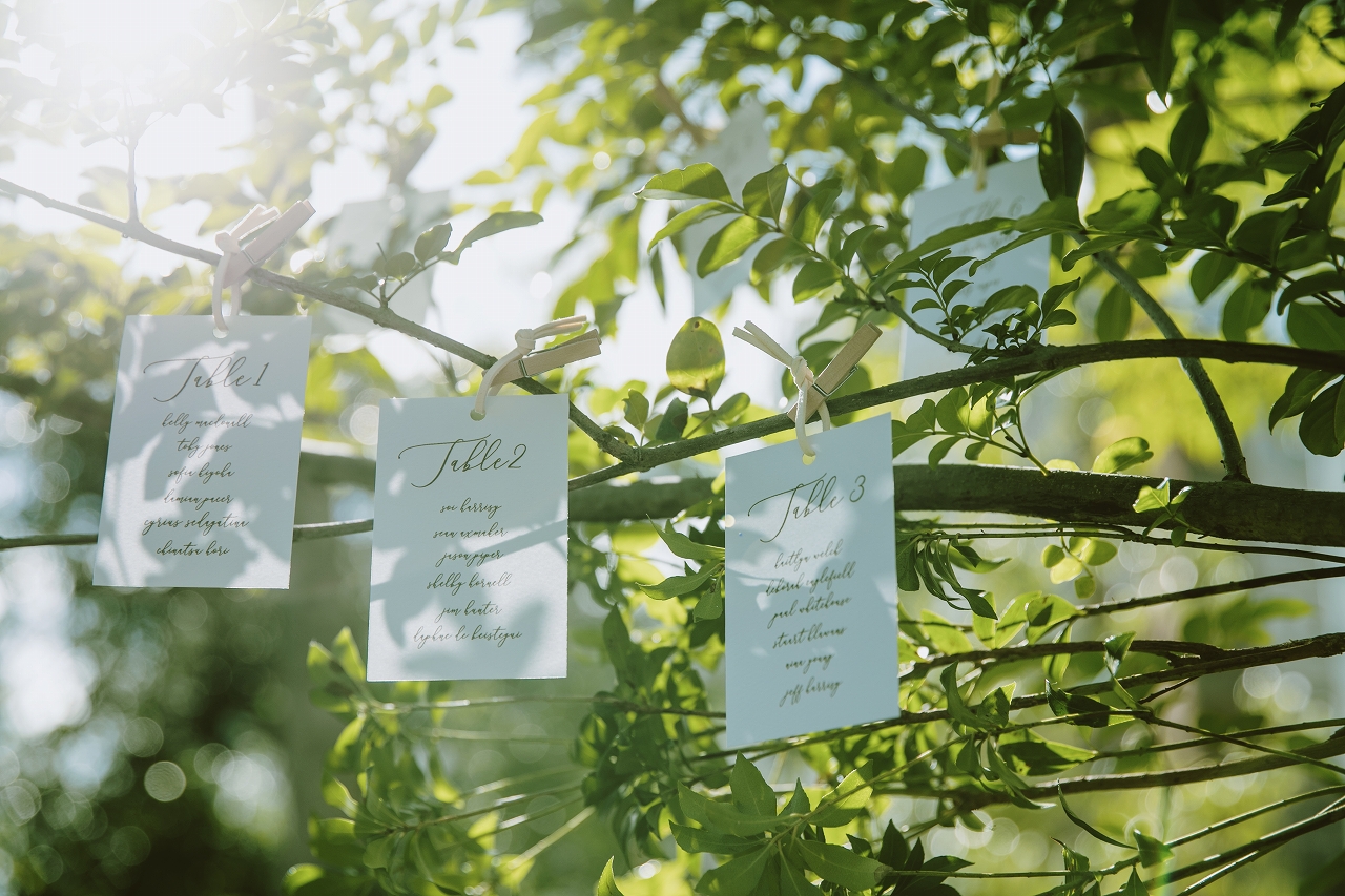 季節で変わるグリーンが空間をより一層彩ります