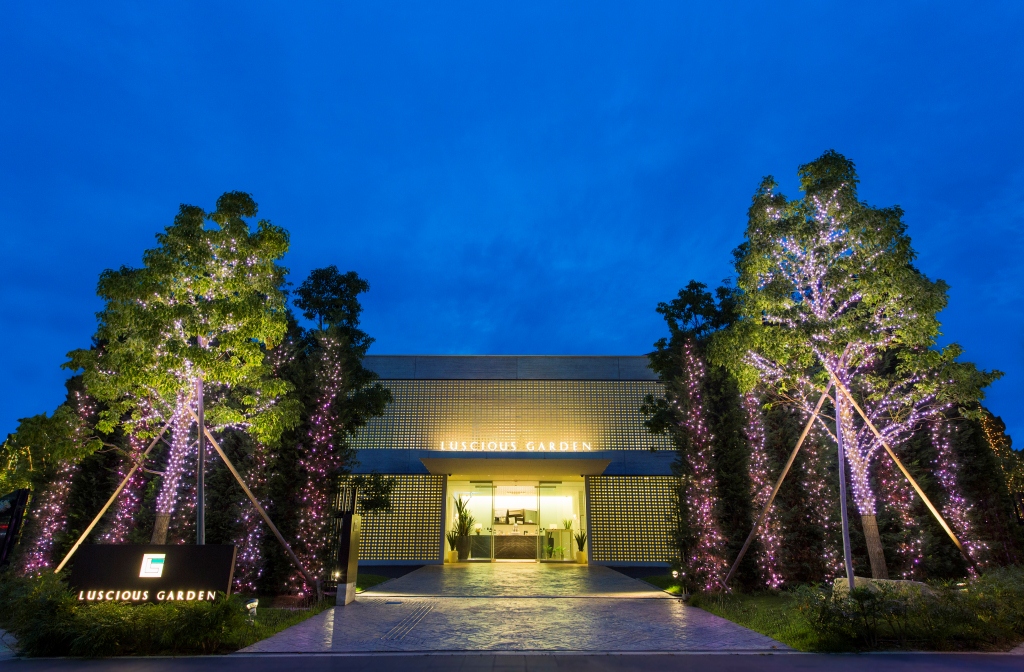 夕暮れから始まるナイトウエディング。白亜の邸宅は幻想的なイルミネーションの光に包まれる