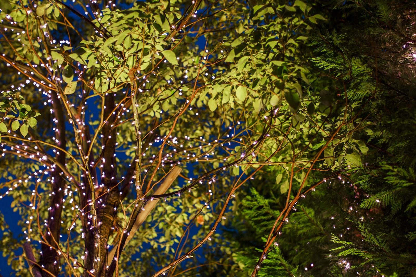 ナイトプールの特別感に、ふたりもゲストのテンションUP☆