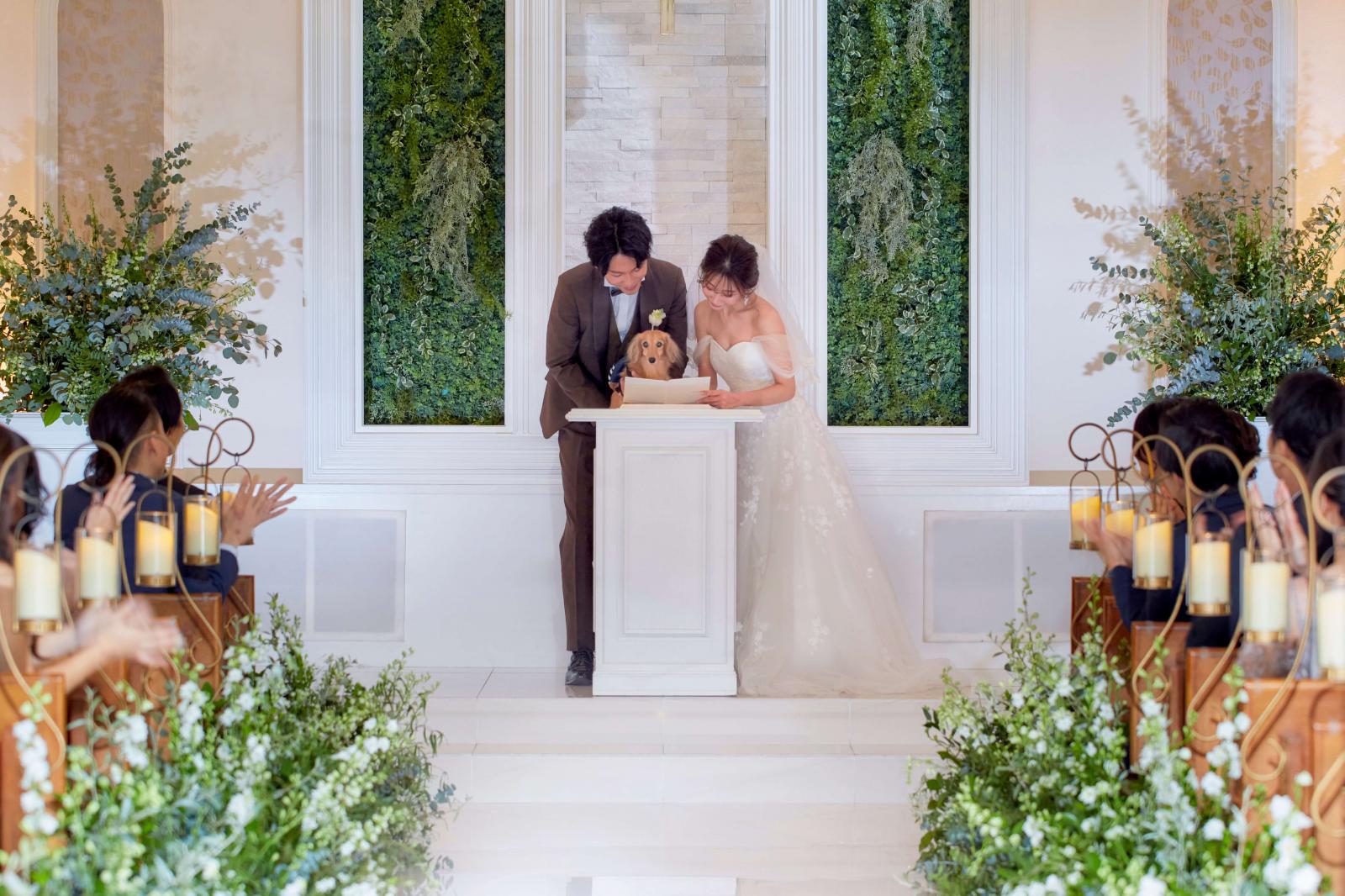 二条城チャペル セント・アベニール 写真/ムービー ｜ 結婚