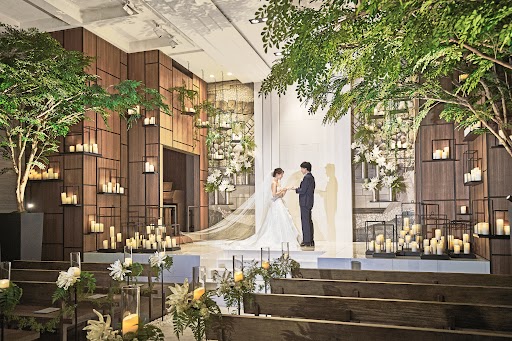 鴨川の緑に包まれ、温かな木漏れ日が心地よく降り注ぐ空間。左右に立つのはトネリコの木々