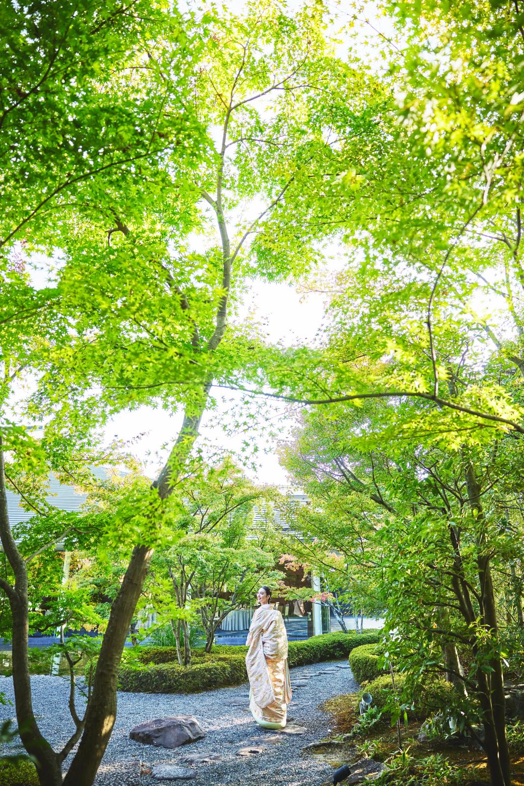 寛ぎのひと時へ誘う日本庭園