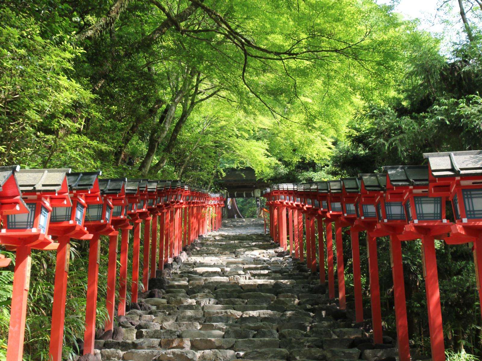 恋の宮とも称される緑深き京都の奥座敷【貴船神社】