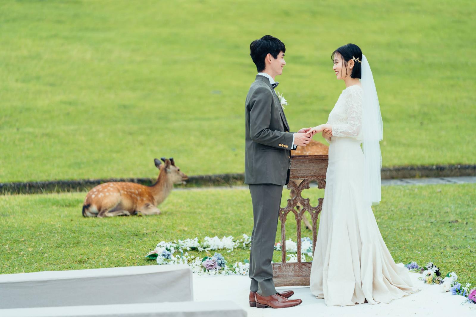 はじまりを感じる、自然と歴史が織りなす美しい若草山でのセレモニー