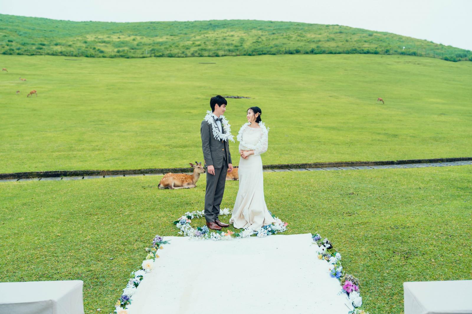 悠久の地、奈良でかけがえのない繋がりが記憶に刻まれる時間