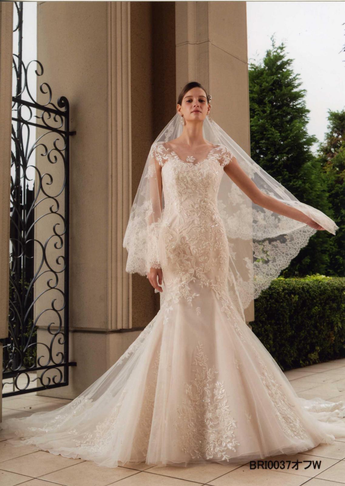 ドレスコレクション