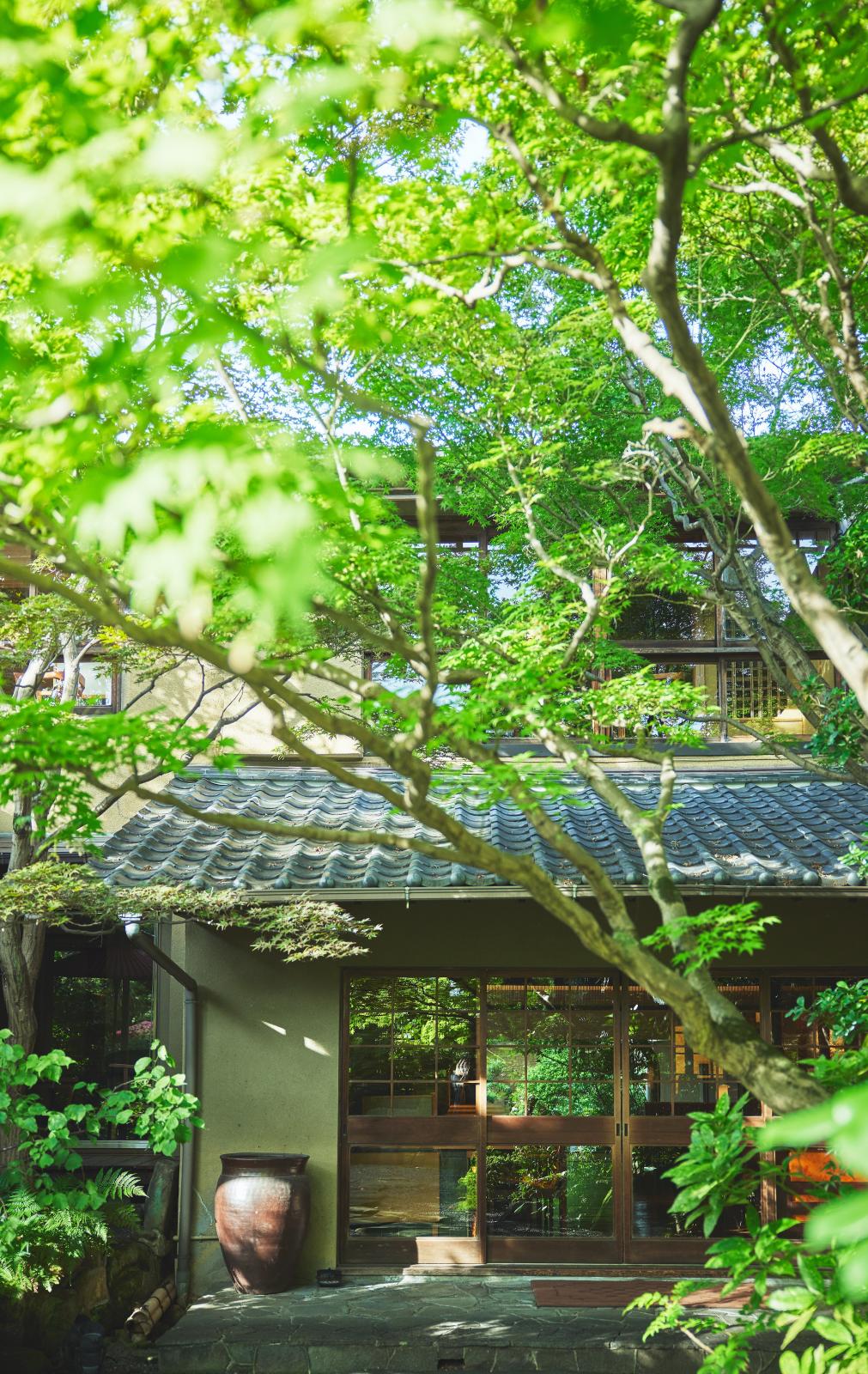 樹齢400余年のもみの木と共に、時代の変遷を見守ってきた